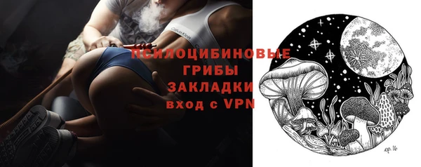 Альфа ПВП Дмитриев