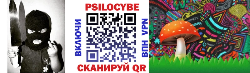 Купить где  Безенчук  Галлюциногенные грибы GOLDEN TEACHER 